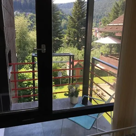 Kleines Einzimmer-Apartment 23 Bad Wildbad Exterior photo
