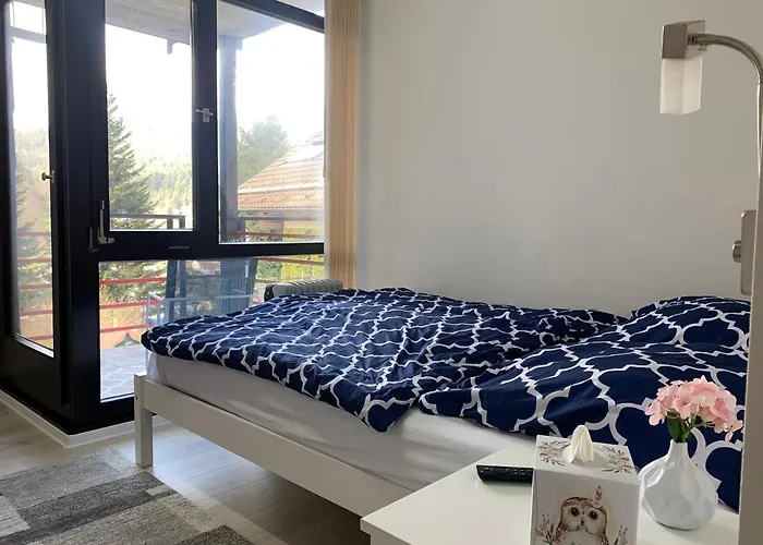 Kleines Einzimmer-Apartment 23