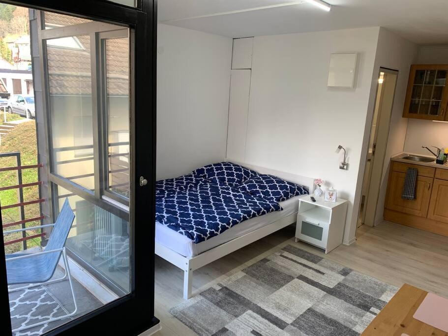 Apartment Kleines Einzimmer-apartment 23